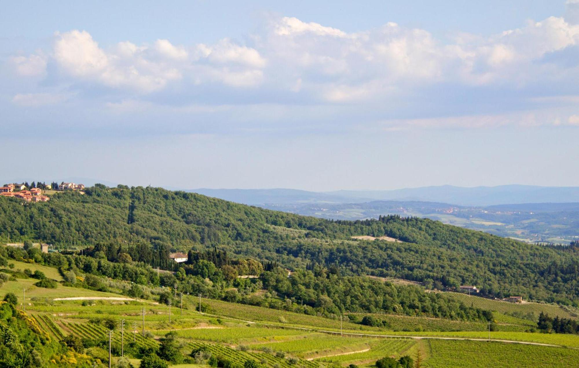 Galletto Nero Panzano in Chianti Exteriér fotografie